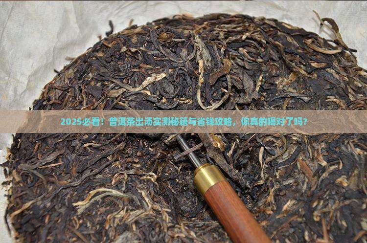 普洱茶出汤怎么做