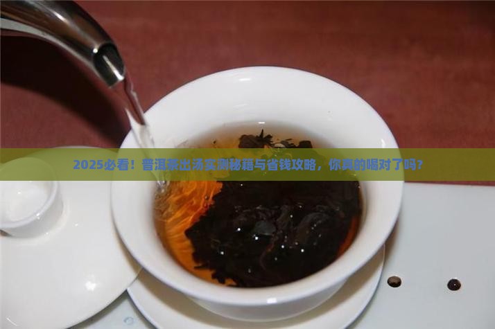 普洱茶出汤怎么做