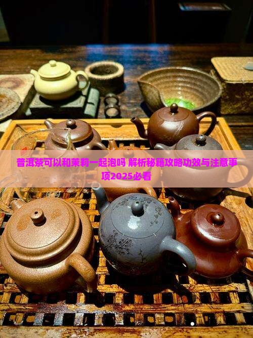 普洱茶可以和茉莉一起泡吗