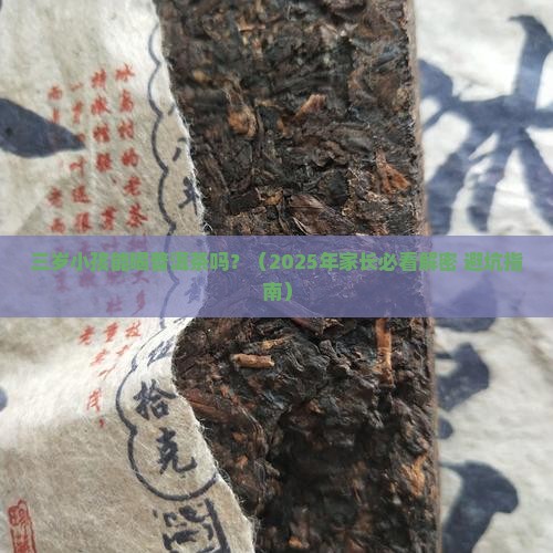 三岁小孩要喝普洱茶