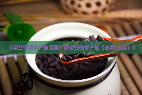 若兰普洱茶的产区
