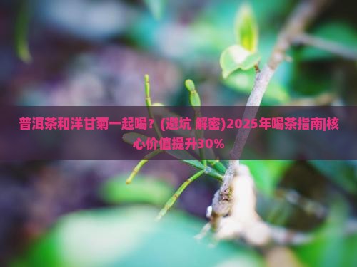 普洱茶和洋甘菊一起喝