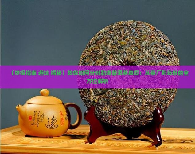 勐海普洱茶分辨真假