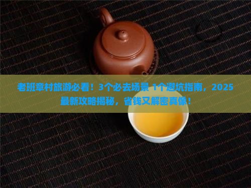 天下第一村老班章村