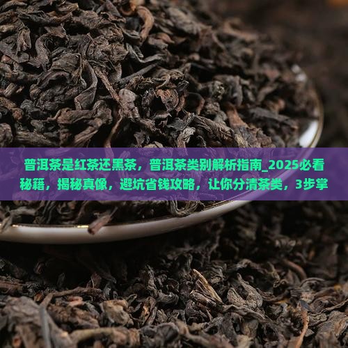 普洱茶是红茶还黑茶