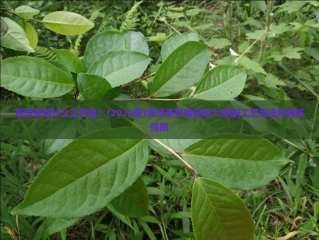 普洱茶一般用什么工艺品