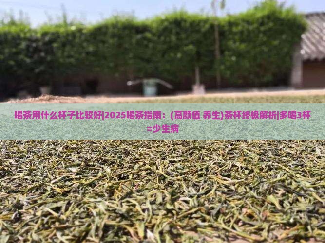 喝茶用什么杯子比较好