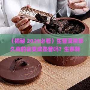 生普洱茶放久转为熟普