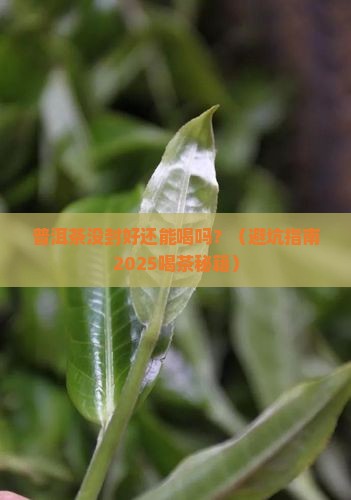 普洱茶没封闭好还能喝吗