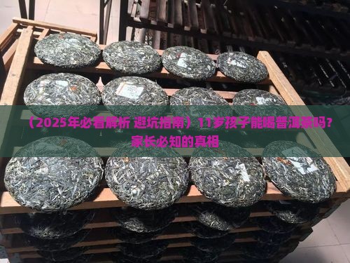 11岁孩子可以喝普洱茶吗