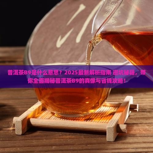 普洱茶B9是什么意思