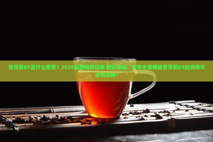 普洱茶B9是什么意思