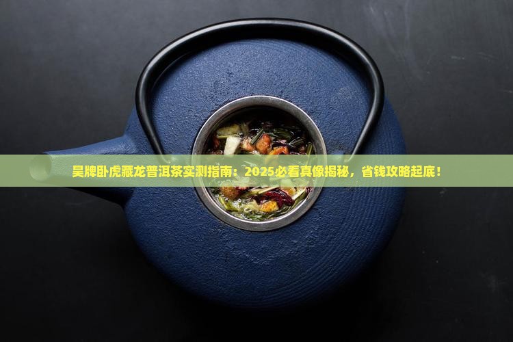 昊牌卧虎藏龙普洱茶