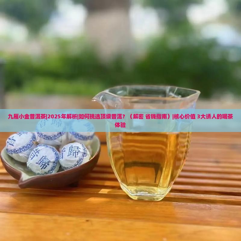 九雁小金普洱茶