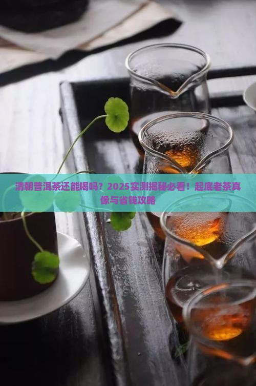 清朝存放至今的普洱茶