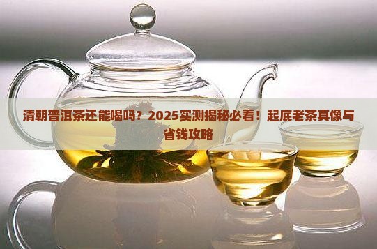 清朝存放至今的普洱茶