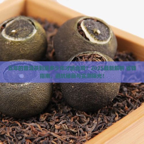 五年的普洱茶多少年