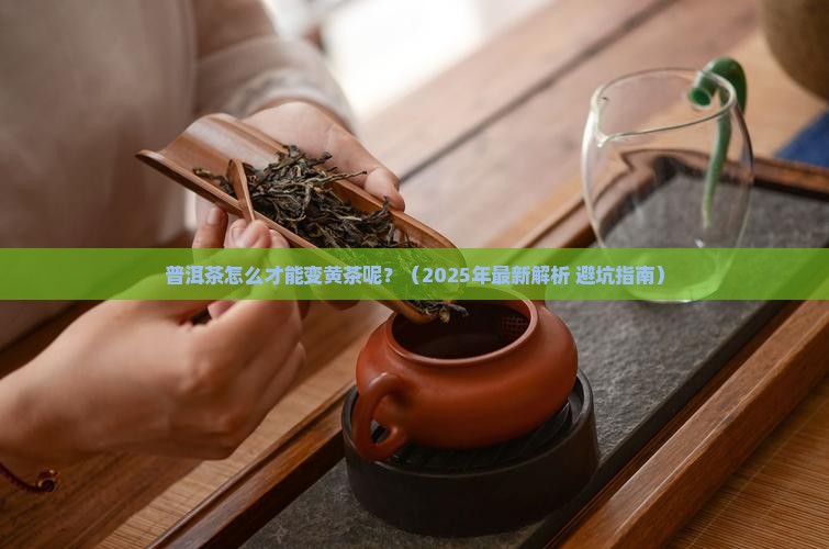 普洱茶怎么才能变黄茶呢