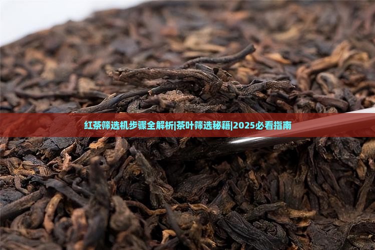 红茶筛选机步骤