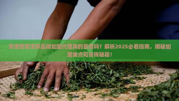 贵港熟普洱茶品牌加盟代理