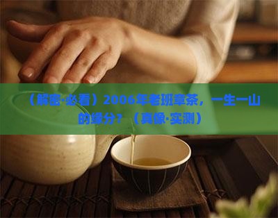 一生一山老班章2006年