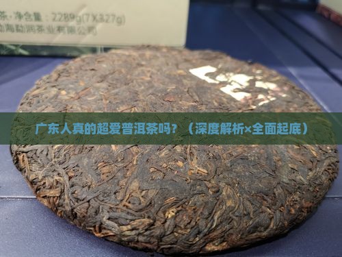 广东人爱喝普洱茶吗