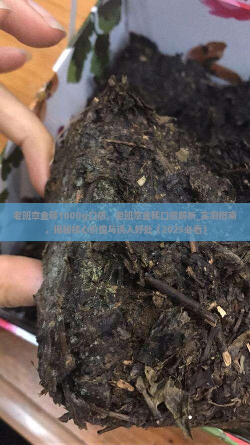 老班章金砖1000g口感