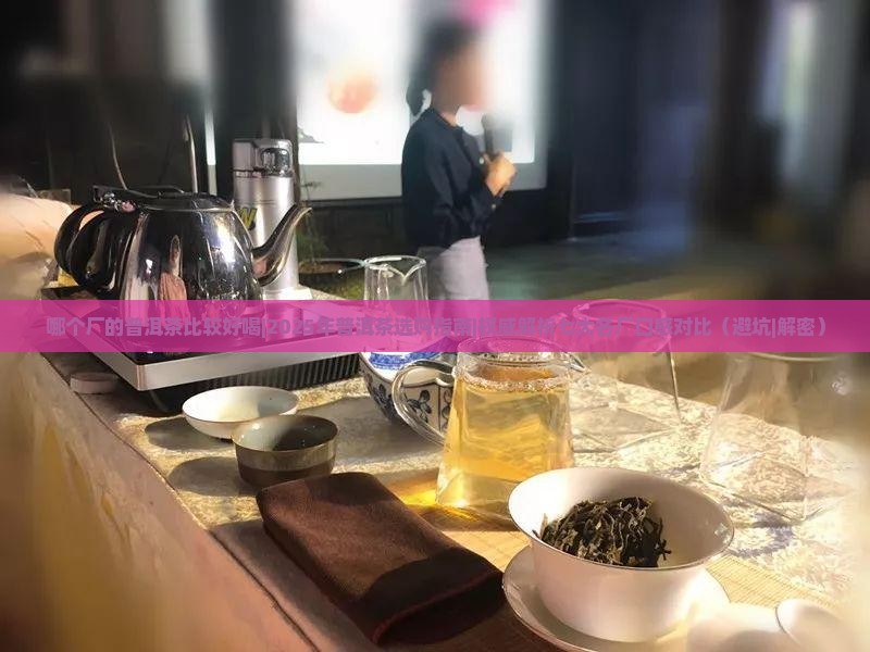 哪个厂的普洱茶比较好喝