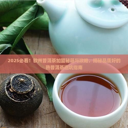 钦州品质好的熟普洱茶招商
