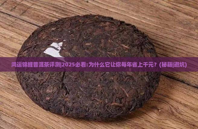 鸿运锦鲤普洱茶评测