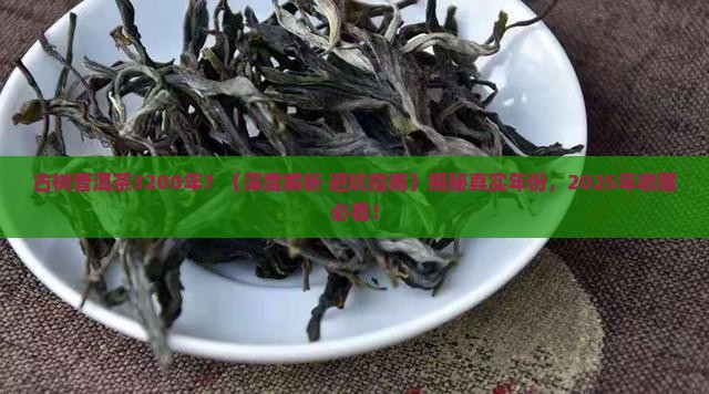 古树普洱茶3200年