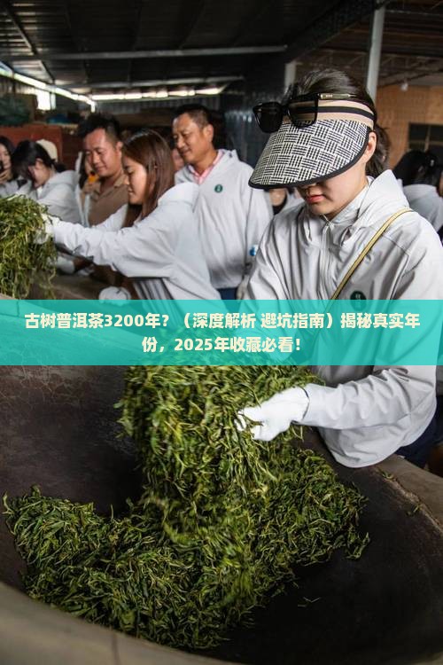 古树普洱茶3200年