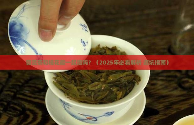 普洱茶和桂花能一起泡吗