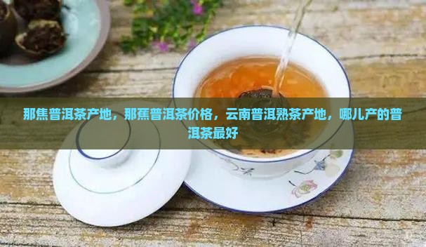 那焦普洱茶产地