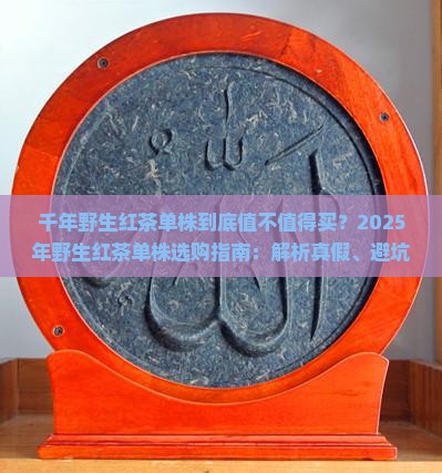 千年野生红茶单株