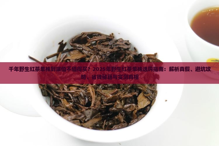 千年野生红茶单株