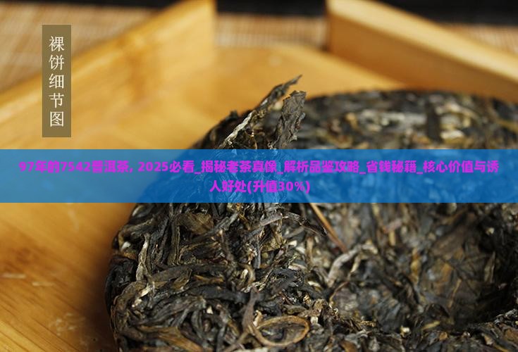 97年的7542普洱茶