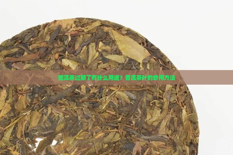普洱茶坏了能干嘛用的