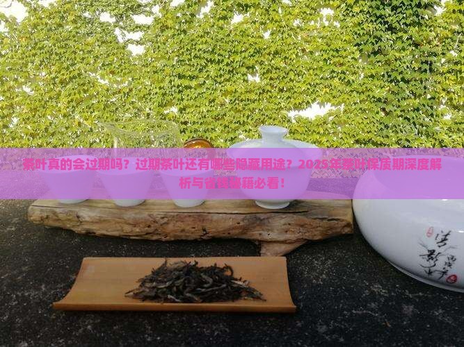 茶叶有过期的吗茶叶过期能干啥