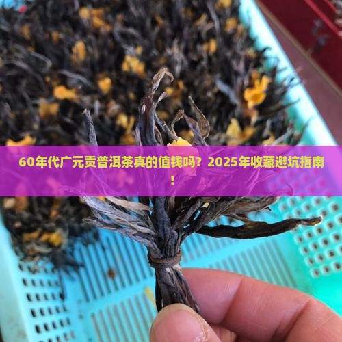 60年代广元贡普洱茶
