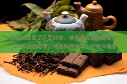 普洱茶发霉是不是好的