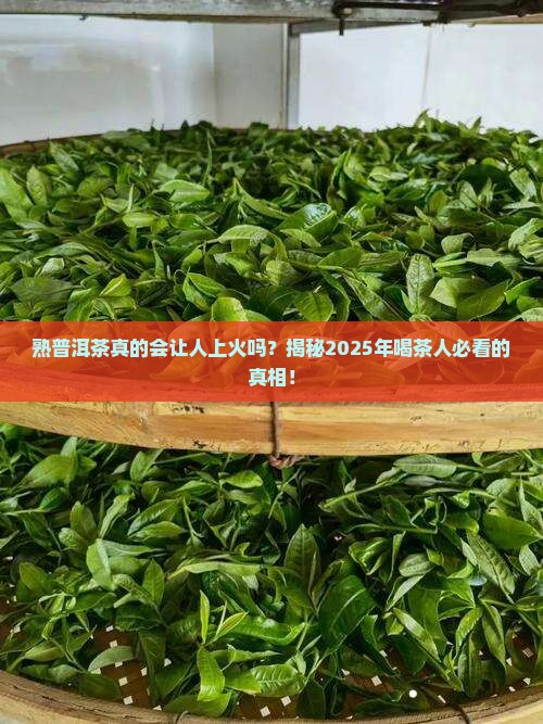 熟普洱茶是不是容易上火