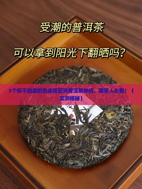 陈皮搭配熟普洱茶功效