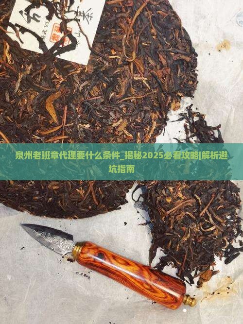 泉州老班章代理要什么条件