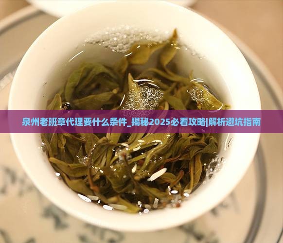 泉州老班章代理要什么条件