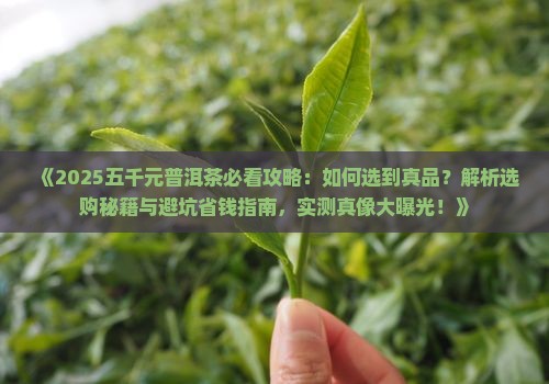 五千元的普洱茶