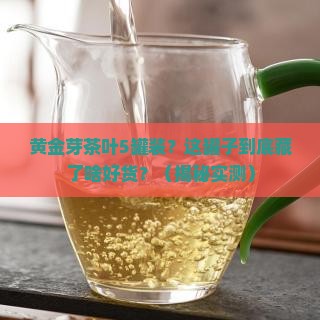 黄金芽茶叶5罐装