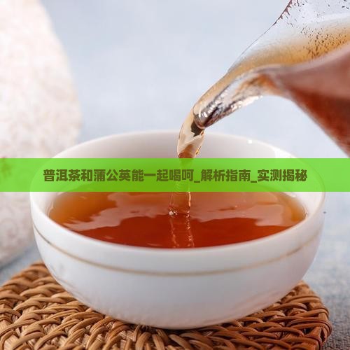 普洱茶和蒲公英能一起喝呵