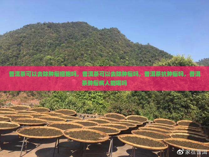 普洱茶可以去除肿瘤