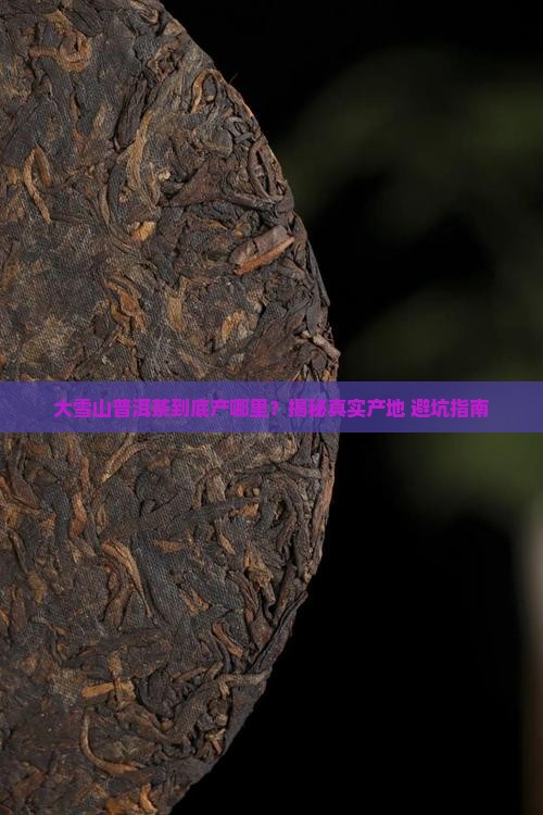 大雪山普洱茶是哪里的